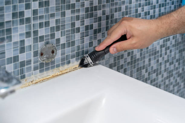 Reliable Key Biscayne, FL Mold Removal Solutions
